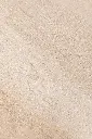 6.webp
